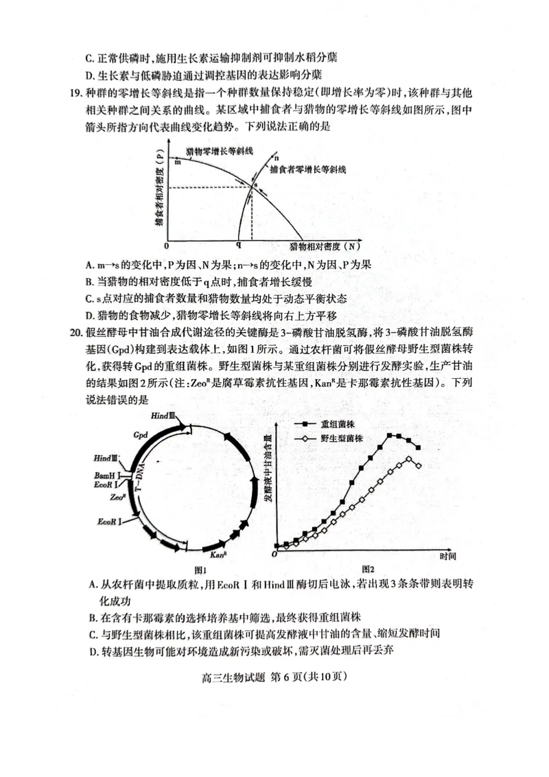 生物试题_2024-2026高三（6-6月题库）_2026年04月高三试卷_260418山东省泰安市2026年高三二模考试（全科）_山东省泰安市2026年高三二模考试生物试题