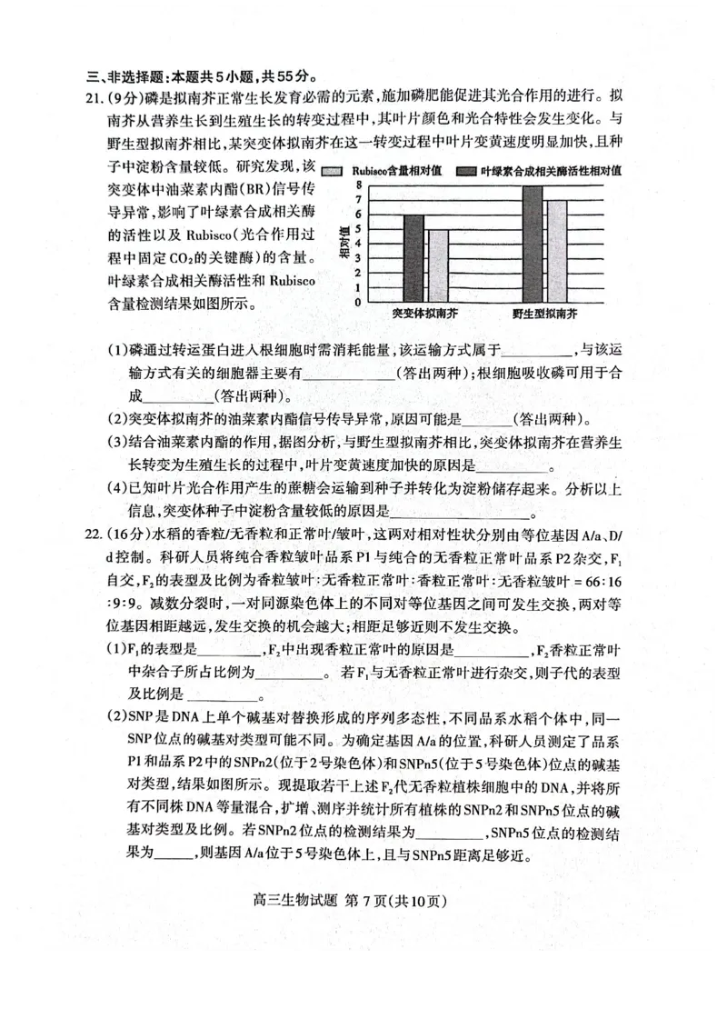 生物试题_2024-2026高三（6-6月题库）_2026年04月高三试卷_260418山东省泰安市2026年高三二模考试（全科）_山东省泰安市2026年高三二模考试生物试题