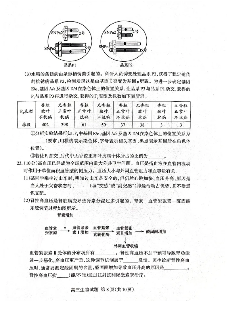 生物试题_2024-2026高三（6-6月题库）_2026年04月高三试卷_260418山东省泰安市2026年高三二模考试（全科）_山东省泰安市2026年高三二模考试生物试题