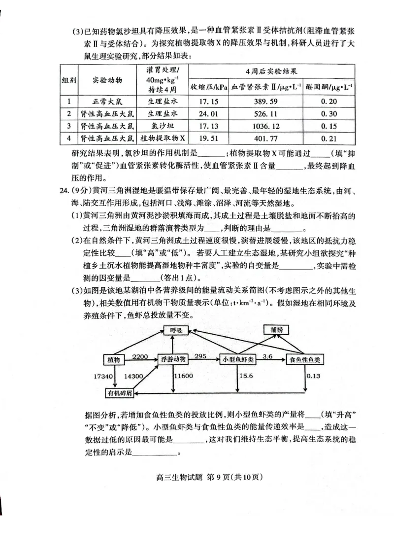 生物试题_2024-2026高三（6-6月题库）_2026年04月高三试卷_260418山东省泰安市2026年高三二模考试（全科）_山东省泰安市2026年高三二模考试生物试题