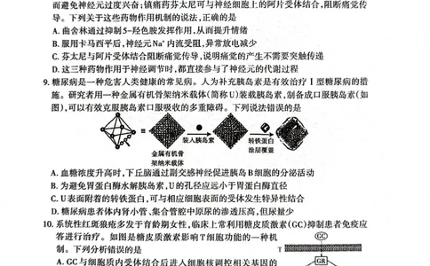 生物试题_2024-2026高三（6-6月题库）_2026年04月高三试卷_260418山东省泰安市2026年高三二模考试（全科）_山东省泰安市2026年高三二模考试生物试题