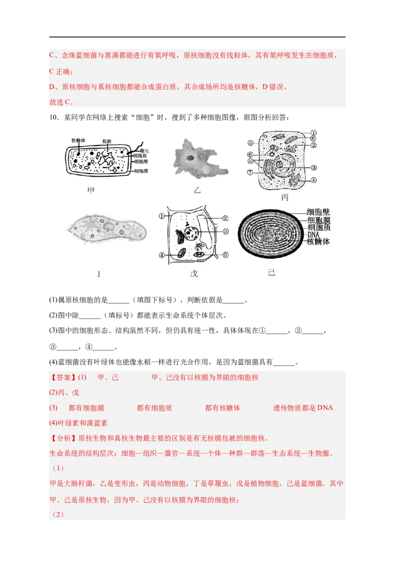 易错点01原核细胞与真核细胞的区分-备战2023年高考生物考试易错题（新教材新高考）（解析版）_新高考复习资料_2023年新高考复习资料_专项复习