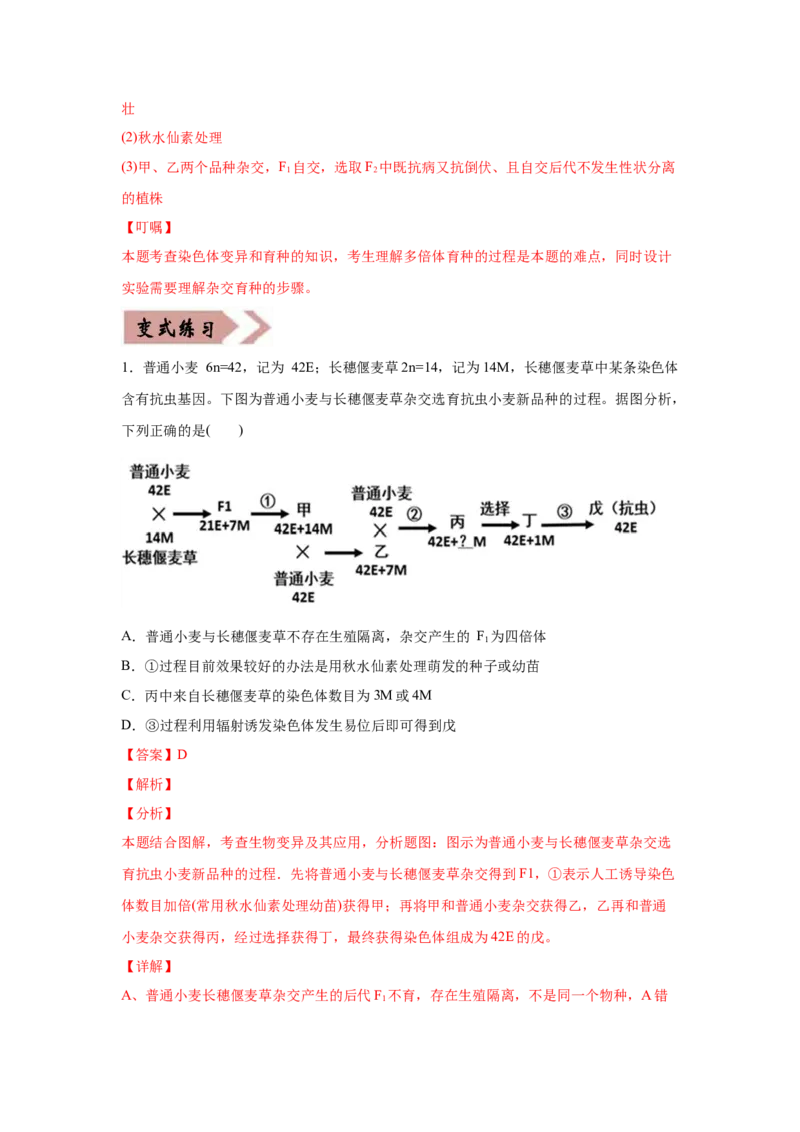 易错点08生物的变异和育种-2021年高考生物一轮复习易错题（教师版含解析）_新高考复习资料_2023年新高考复习资料_一轮复习_2023年新高考大一轮复习讲义