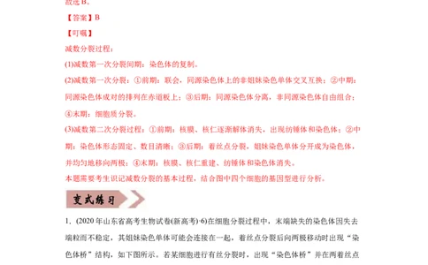 易错点08生物的变异和育种-2021年高考生物一轮复习易错题（教师版含解析）_新高考复习资料_2023年新高考复习资料_一轮复习_2023年新高考大一轮复习讲义