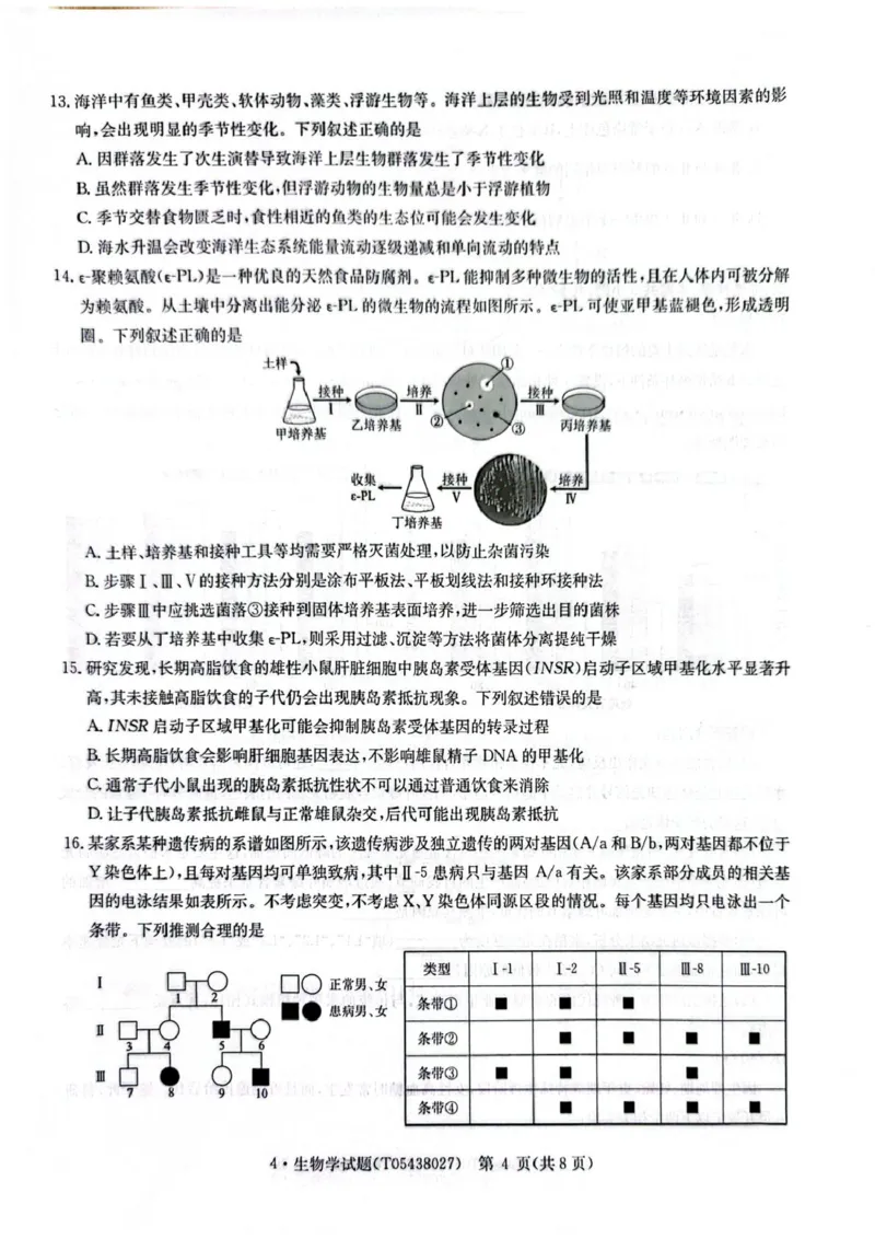 CamScanner华大新高考联盟高三4月联考生物试题_2024-2026高三（6-6月题库）_2026年04月高三试卷_260430华大新高考联盟2026届高三下学期4月联考（全科）