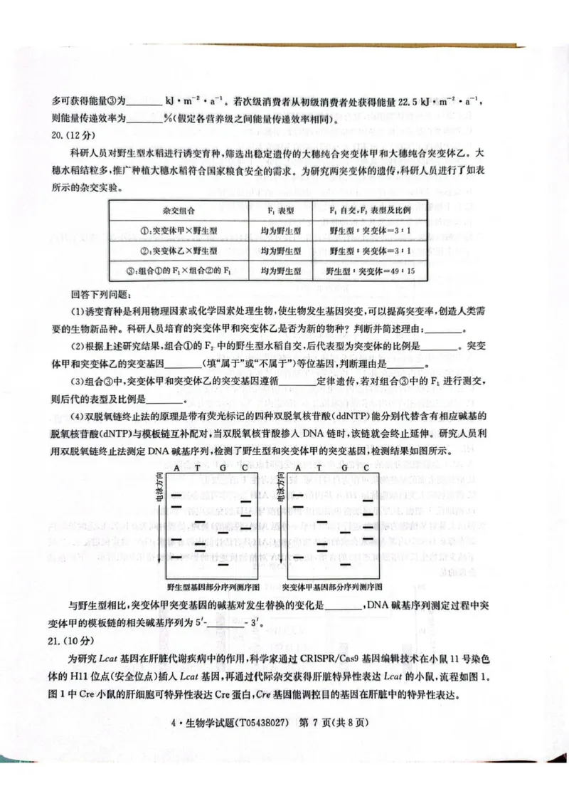 CamScanner华大新高考联盟高三4月联考生物试题_2024-2026高三（6-6月题库）_2026年04月高三试卷_260430华大新高考联盟2026届高三下学期4月联考（全科）