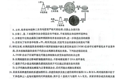 CamScanner华大新高考联盟高三4月联考生物试题_2024-2026高三（6-6月题库）_2026年04月高三试卷_260430华大新高考联盟2026届高三下学期4月联考（全科）
