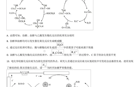吉林通化市梅河口市第五中学2025-2026学年高三下学期开学考试化学试卷（含答案）_2024-2026高三（6-6月题库）_2026年03月高三试卷