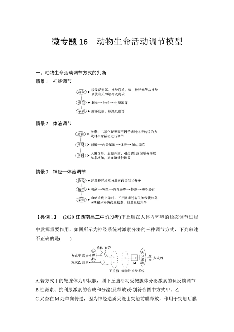 微专题16动物生命活动调节模型_通用版（老高考）复习资料_2023年复习资料_一轮复习_2023年高考生物一轮复习讲义+课件（全国版）_2023年高考生物一轮复习讲义（全国版）_赠补充习题