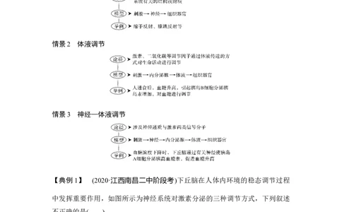 微专题16动物生命活动调节模型_通用版（老高考）复习资料_2023年复习资料_一轮复习_2023年高考生物一轮复习讲义+课件（全国版）_2023年高考生物一轮复习讲义（全国版）_赠补充习题