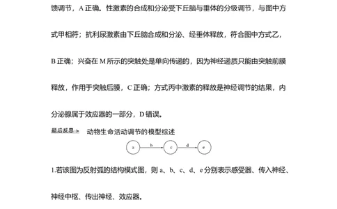 微专题16动物生命活动调节模型_通用版（老高考）复习资料_2023年复习资料_一轮复习_2023年高考生物一轮复习讲义+课件（全国版）_2023年高考生物一轮复习讲义（全国版）_赠补充习题