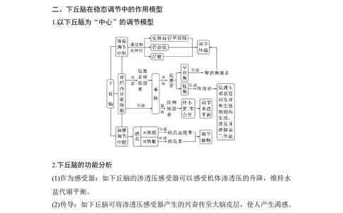 微专题16动物生命活动调节模型_通用版（老高考）复习资料_2023年复习资料_一轮复习_2023年高考生物一轮复习讲义+课件（全国版）_2023年高考生物一轮复习讲义（全国版）_赠补充习题