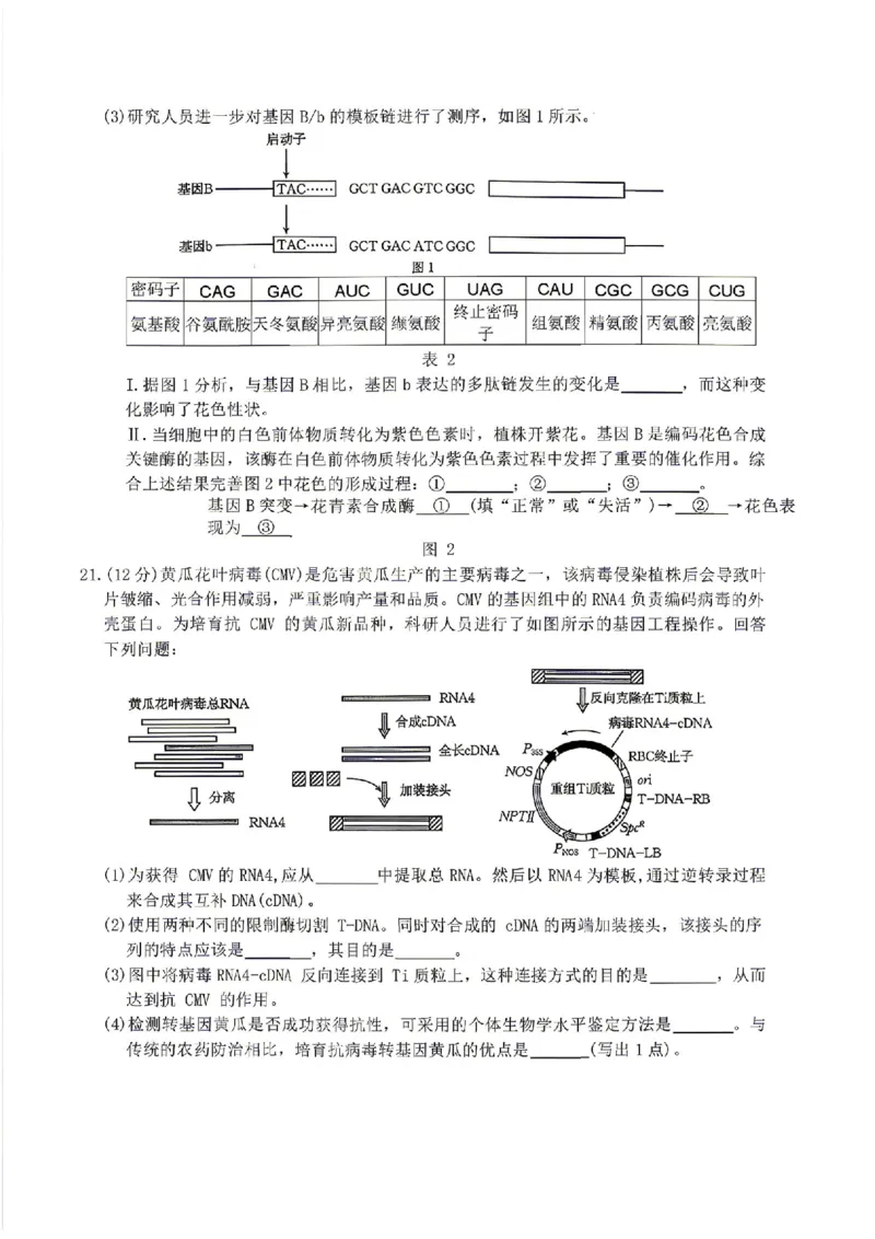 生物-湖南省2026年高三金太阳4月联考暨怀化二模(26-348C)_2024-2026高三（6-6月题库）_2026年04月高三试卷_260430湖南省金太阳联考暨怀化市2026年高考第二次仿真模拟诊断性考试