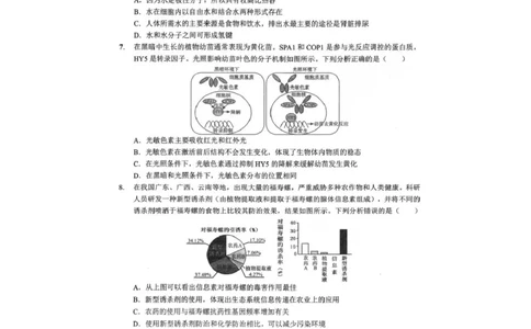 湖北孝感市楚天协作体2025-2026学年高三下学期开学考试生物试题生物试题_2024-2026高三（6-6月题库）_2026年02月高三试卷_2602272026年湖北省高三2月检测试卷（全科）