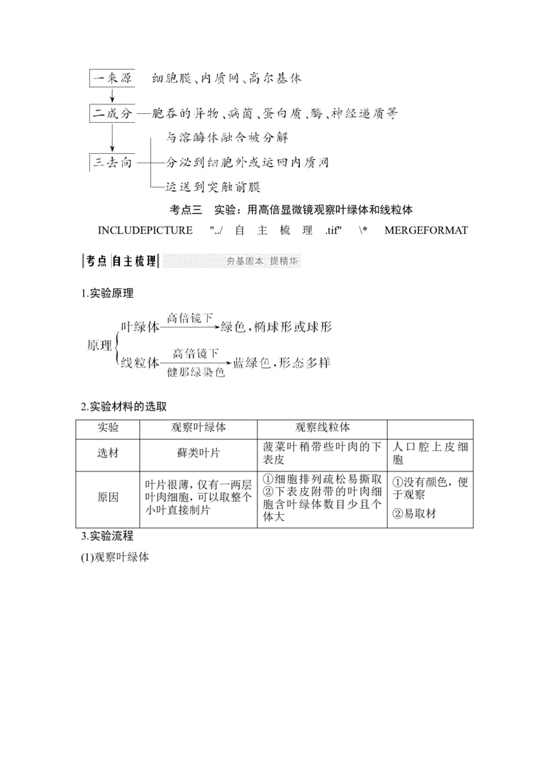 必修一第二单元第5讲_新高考复习资料_2022年新高考复习资料_2022年一轮复习最新版_1.2022年高考生物一轮复习全国通用版_2022年新高考生物一轮复习讲义（最新版）_赠送word习题库