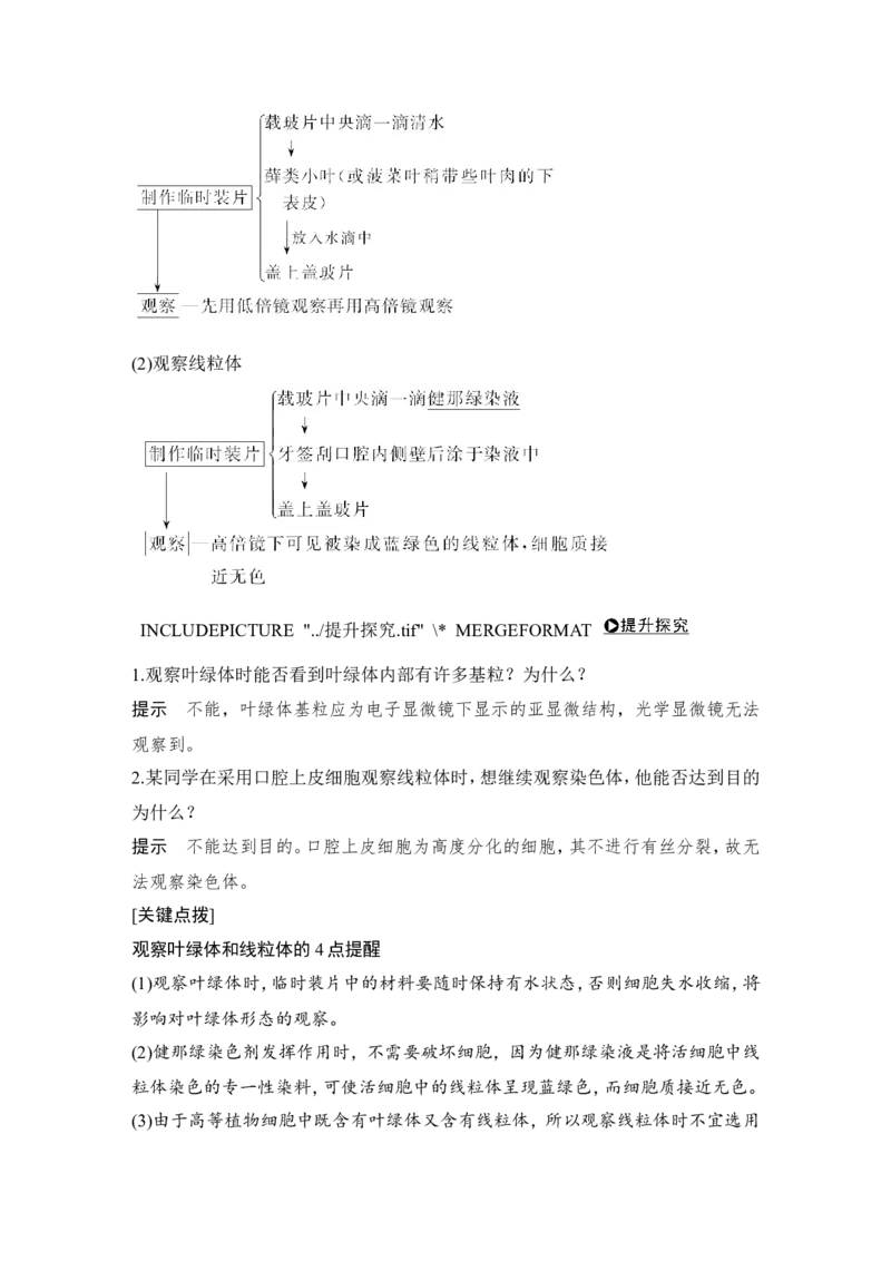 必修一第二单元第5讲_新高考复习资料_2022年新高考复习资料_2022年一轮复习最新版_1.2022年高考生物一轮复习全国通用版_2022年新高考生物一轮复习讲义（最新版）_赠送word习题库