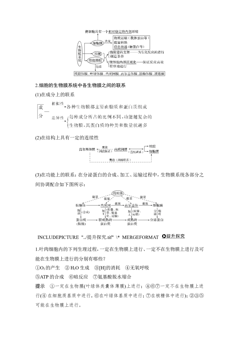 必修一第二单元第5讲_新高考复习资料_2022年新高考复习资料_2022年一轮复习最新版_1.2022年高考生物一轮复习全国通用版_2022年新高考生物一轮复习讲义（最新版）_赠送word习题库