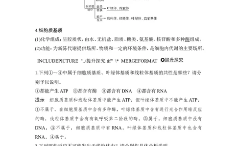 必修一第二单元第5讲_新高考复习资料_2022年新高考复习资料_2022年一轮复习最新版_1.2022年高考生物一轮复习全国通用版_2022年新高考生物一轮复习讲义（最新版）_赠送word习题库