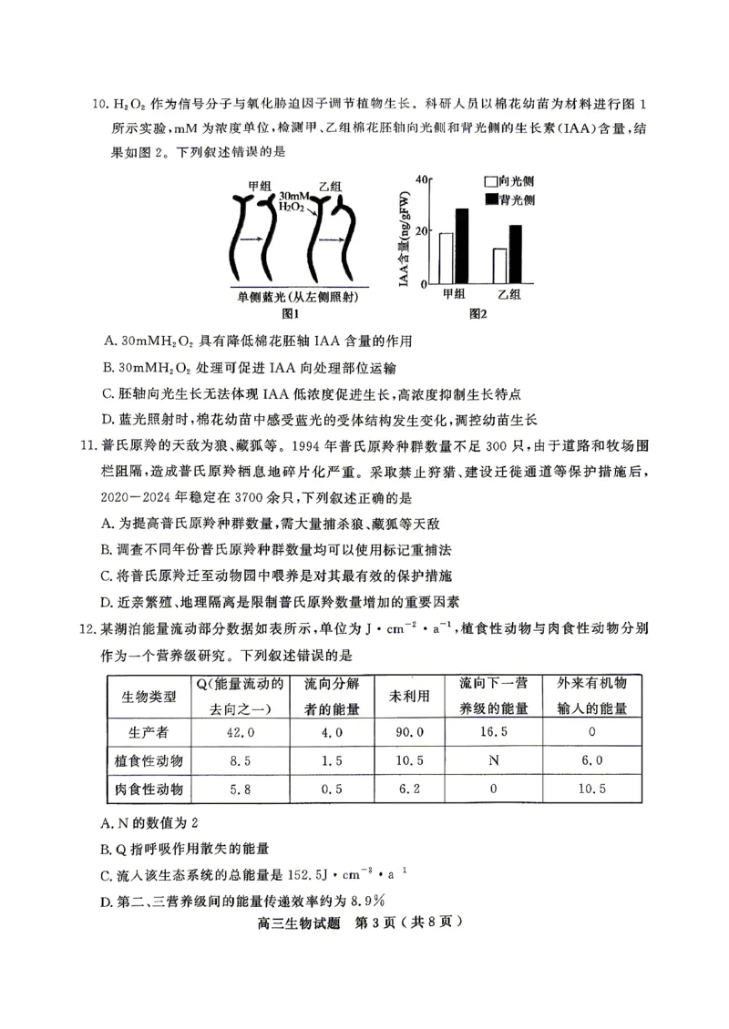 济宁市2026年高考模拟考试生物_2024-2026高三（6-6月题库）_2026年04月高三试卷_260426山东省济宁市2026年高考模拟考试（济宁二模）（全科）