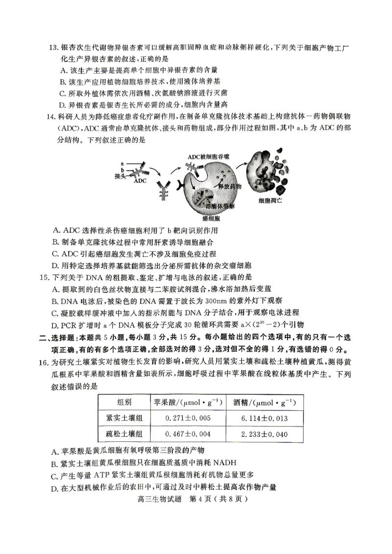 济宁市2026年高考模拟考试生物_2024-2026高三（6-6月题库）_2026年04月高三试卷_260426山东省济宁市2026年高考模拟考试（济宁二模）（全科）