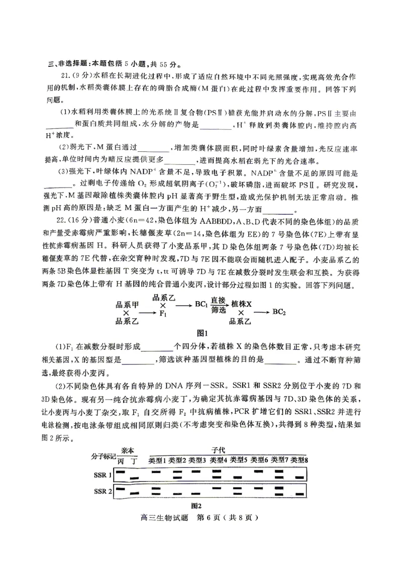 济宁市2026年高考模拟考试生物_2024-2026高三（6-6月题库）_2026年04月高三试卷_260426山东省济宁市2026年高考模拟考试（济宁二模）（全科）
