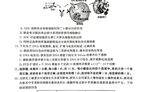济宁市2026年高考模拟考试生物_2024-2026高三（6-6月题库）_2026年04月高三试卷_260426山东省济宁市2026年高考模拟考试（济宁二模）（全科）