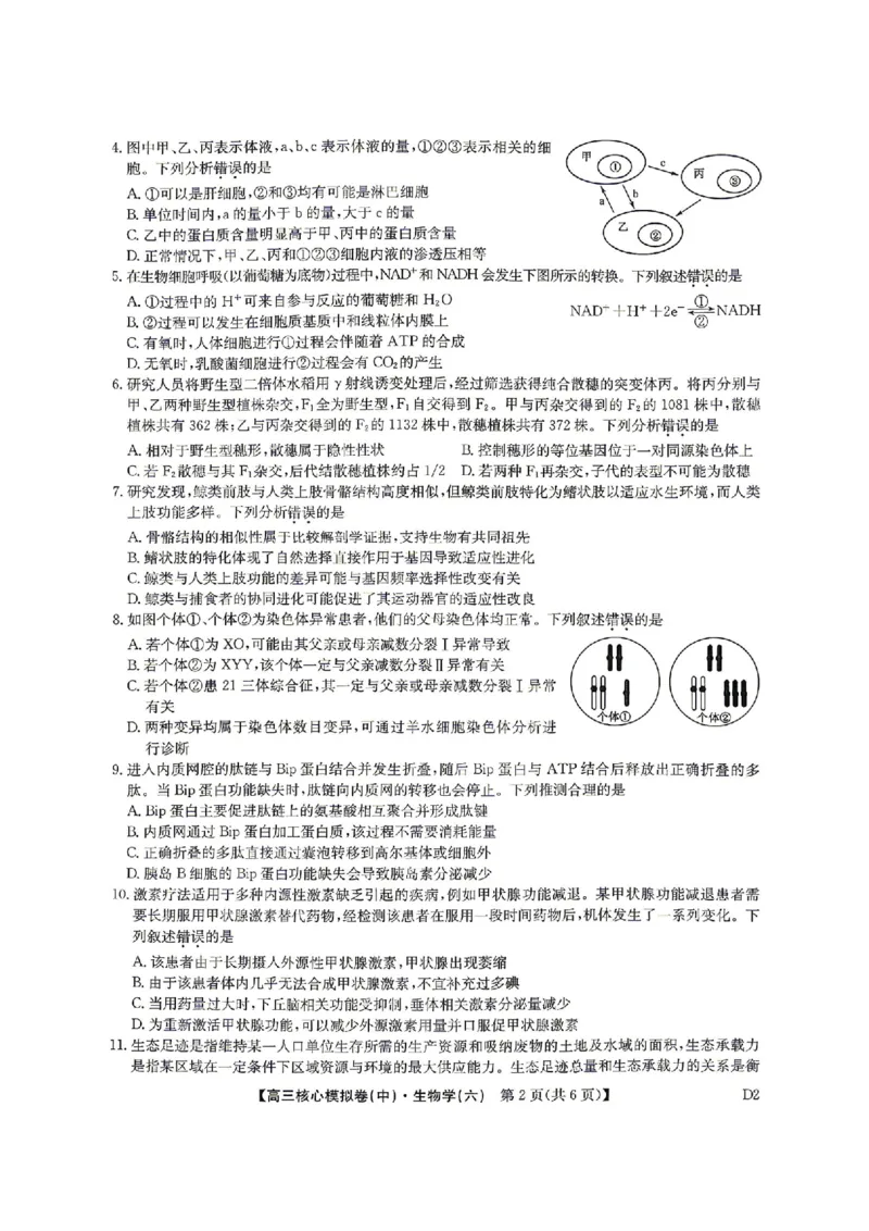 生物试题_2024-2026高三（6-6月题库）_2026年04月高三试卷_260408九师联盟2025-2026学年高三核心模拟卷中（六）（全科）_九师联盟2025-2026学年高三核心模拟卷中（六）生物
