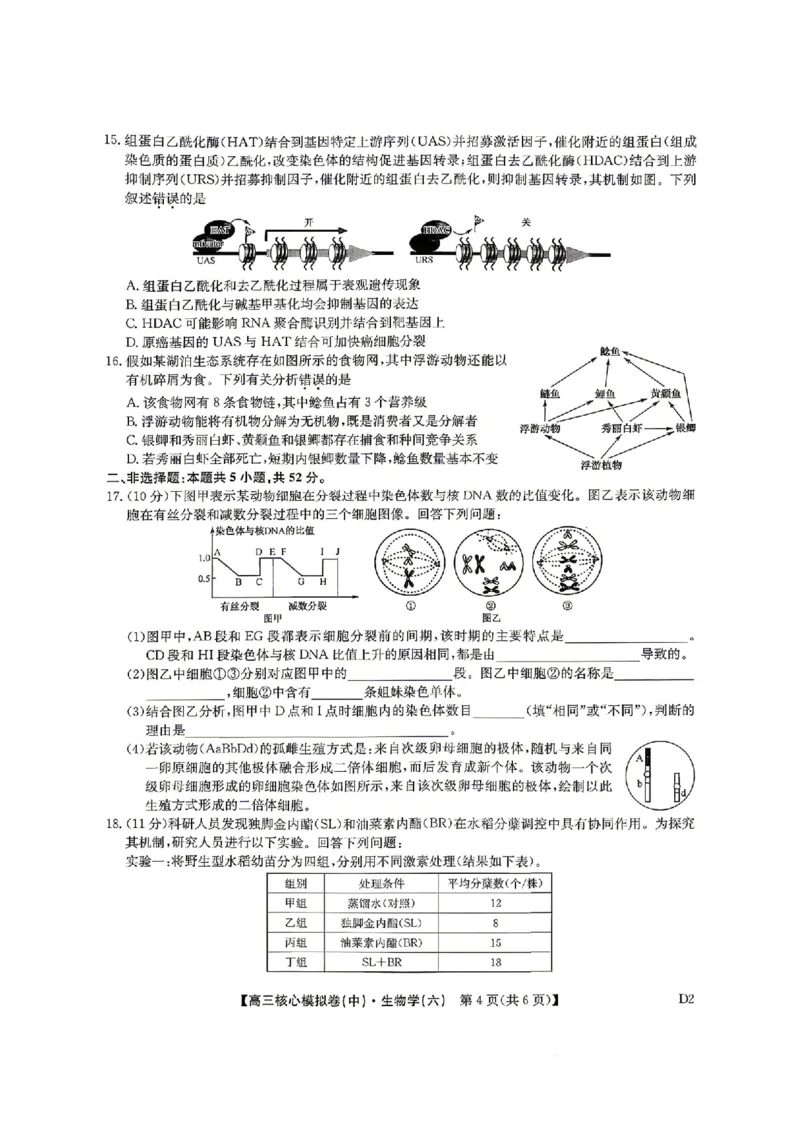 生物试题_2024-2026高三（6-6月题库）_2026年04月高三试卷_260408九师联盟2025-2026学年高三核心模拟卷中（六）（全科）_九师联盟2025-2026学年高三核心模拟卷中（六）生物