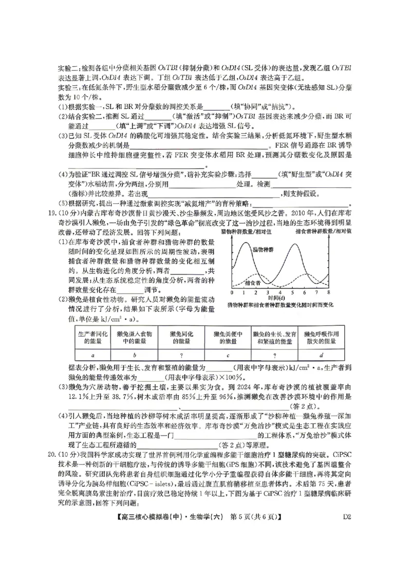 生物试题_2024-2026高三（6-6月题库）_2026年04月高三试卷_260408九师联盟2025-2026学年高三核心模拟卷中（六）（全科）_九师联盟2025-2026学年高三核心模拟卷中（六）生物