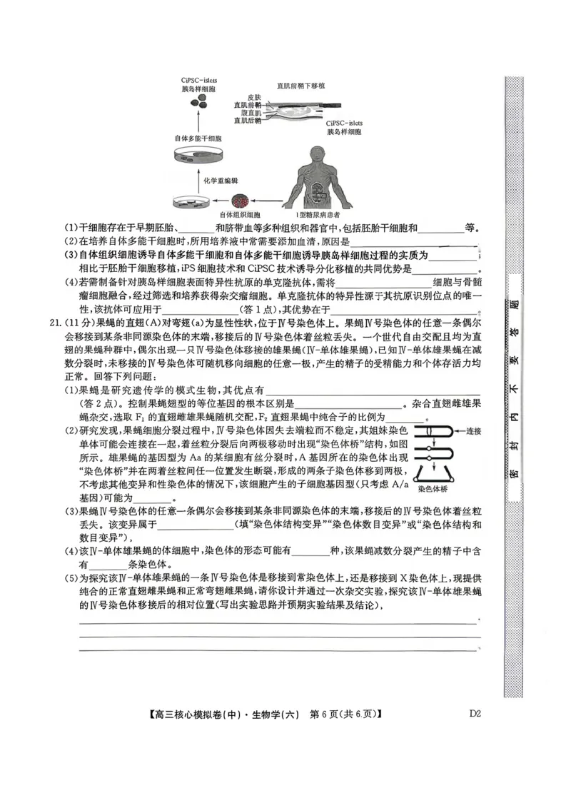 生物试题_2024-2026高三（6-6月题库）_2026年04月高三试卷_260408九师联盟2025-2026学年高三核心模拟卷中（六）（全科）_九师联盟2025-2026学年高三核心模拟卷中（六）生物