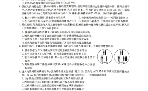 生物试题_2024-2026高三（6-6月题库）_2026年04月高三试卷_260408九师联盟2025-2026学年高三核心模拟卷中（六）（全科）_九师联盟2025-2026学年高三核心模拟卷中（六）生物