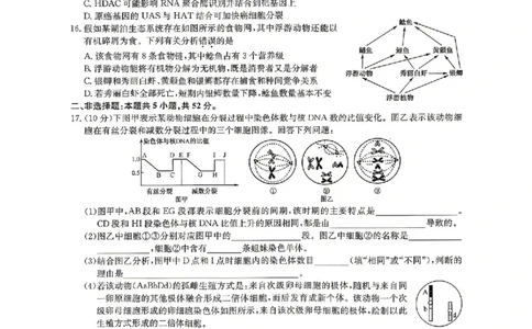 生物试题_2024-2026高三（6-6月题库）_2026年04月高三试卷_260408九师联盟2025-2026学年高三核心模拟卷中（六）（全科）_九师联盟2025-2026学年高三核心模拟卷中（六）生物