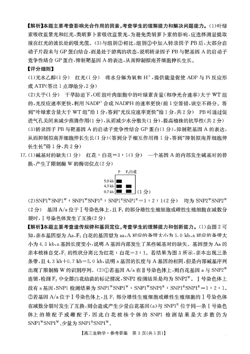 生物试题卷答案安徽省2026年安徽省示范高中皖北协作区第28届联考(3.26-3.27)_2024-2026高三（6-6月题库）_2026年03月高三试卷_260328安徽省2026年安徽省示范高中皖北协作区第28届联考(全科)