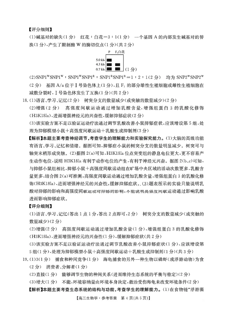 生物试题卷答案安徽省2026年安徽省示范高中皖北协作区第28届联考(3.26-3.27)_2024-2026高三（6-6月题库）_2026年03月高三试卷_260328安徽省2026年安徽省示范高中皖北协作区第28届联考(全科)