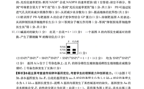 生物试题卷答案安徽省2026年安徽省示范高中皖北协作区第28届联考(3.26-3.27)_2024-2026高三（6-6月题库）_2026年03月高三试卷_260328安徽省2026年安徽省示范高中皖北协作区第28届联考(全科)