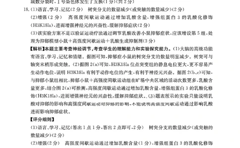 生物试题卷答案安徽省2026年安徽省示范高中皖北协作区第28届联考(3.26-3.27)_2024-2026高三（6-6月题库）_2026年03月高三试卷_260328安徽省2026年安徽省示范高中皖北协作区第28届联考(全科)