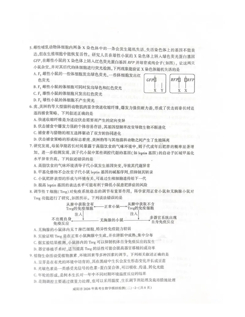 咸阳市2026年高考模拟检测（二）生物_2024-2026高三（6-6月题库）_2026年03月高三试卷_260330陕西省咸阳市2026年高考模拟检测（二）（全科）