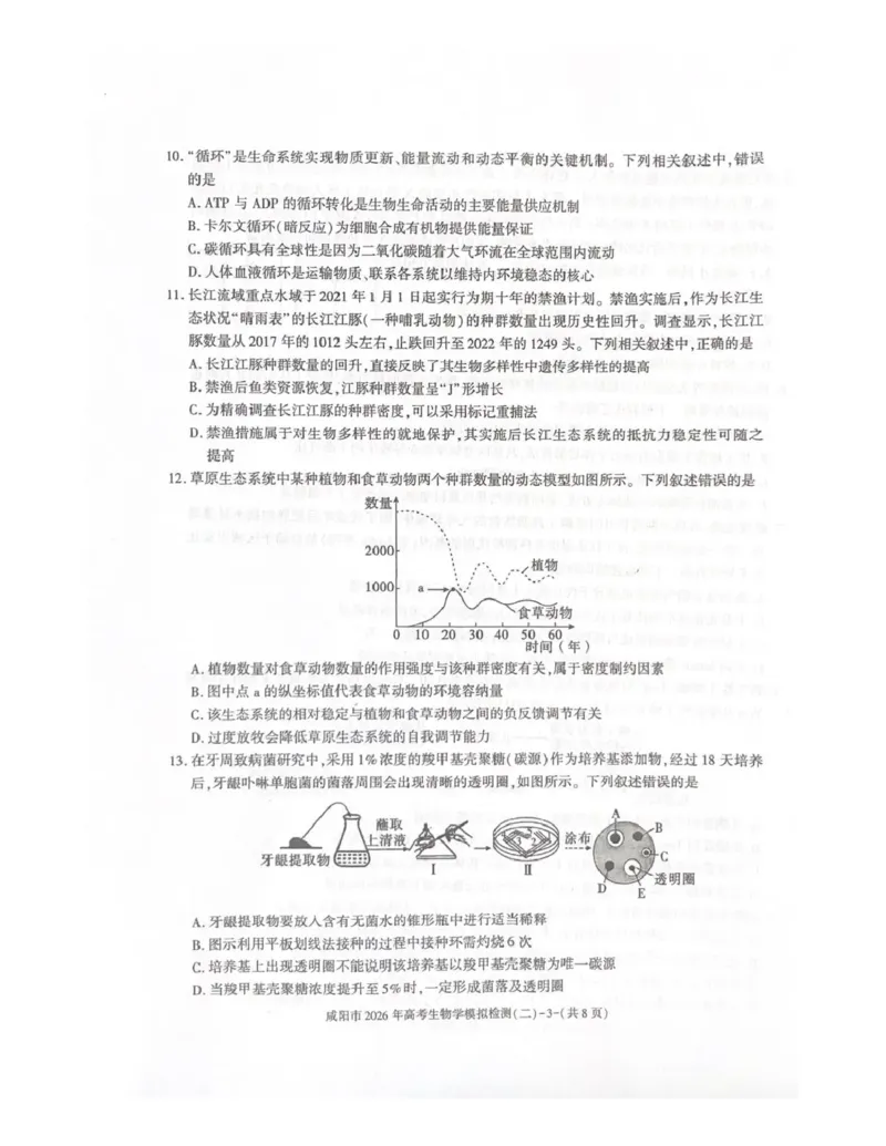 咸阳市2026年高考模拟检测（二）生物_2024-2026高三（6-6月题库）_2026年03月高三试卷_260330陕西省咸阳市2026年高考模拟检测（二）（全科）