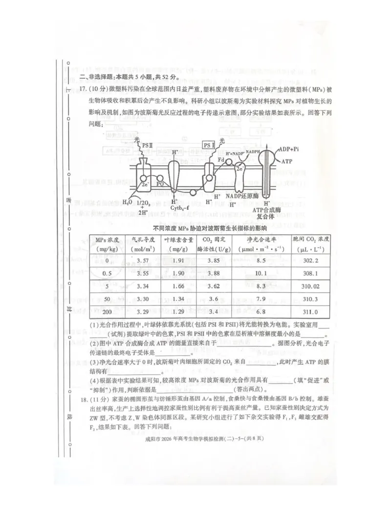 咸阳市2026年高考模拟检测（二）生物_2024-2026高三（6-6月题库）_2026年03月高三试卷_260330陕西省咸阳市2026年高考模拟检测（二）（全科）