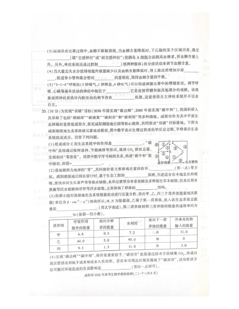 咸阳市2026年高考模拟检测（二）生物_2024-2026高三（6-6月题库）_2026年03月高三试卷_260330陕西省咸阳市2026年高考模拟检测（二）（全科）