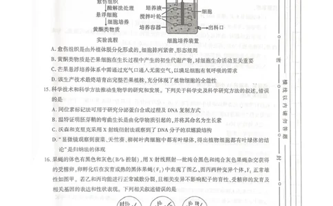 咸阳市2026年高考模拟检测（二）生物_2024-2026高三（6-6月题库）_2026年03月高三试卷_260330陕西省咸阳市2026年高考模拟检测（二）（全科）