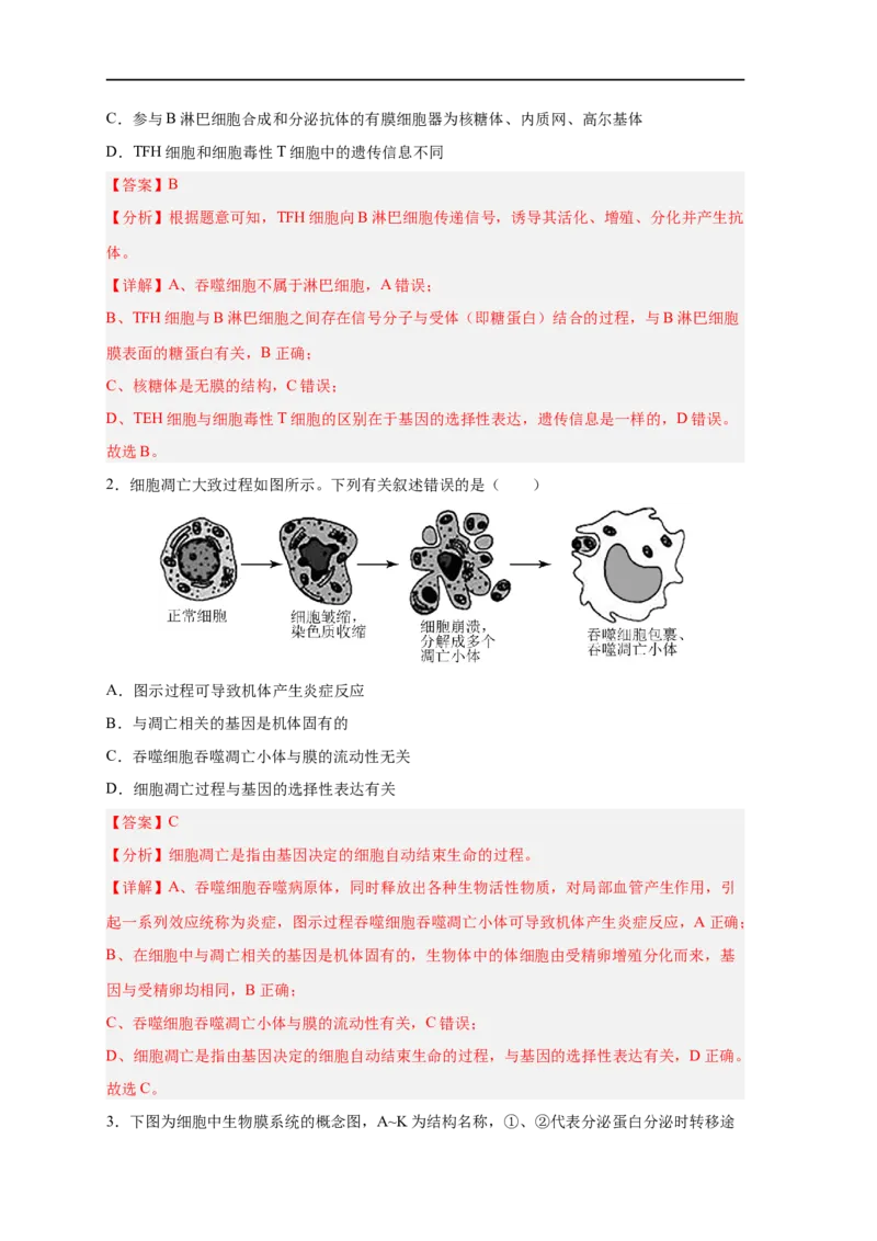 易错点04细胞的结构与功能-备战2023年高考生物考试易错题（新教材新高考）（解析版）_新高考复习资料_2023年新高考复习资料_专项复习_备战2023年高考生物考试易错题（新教材新高考）