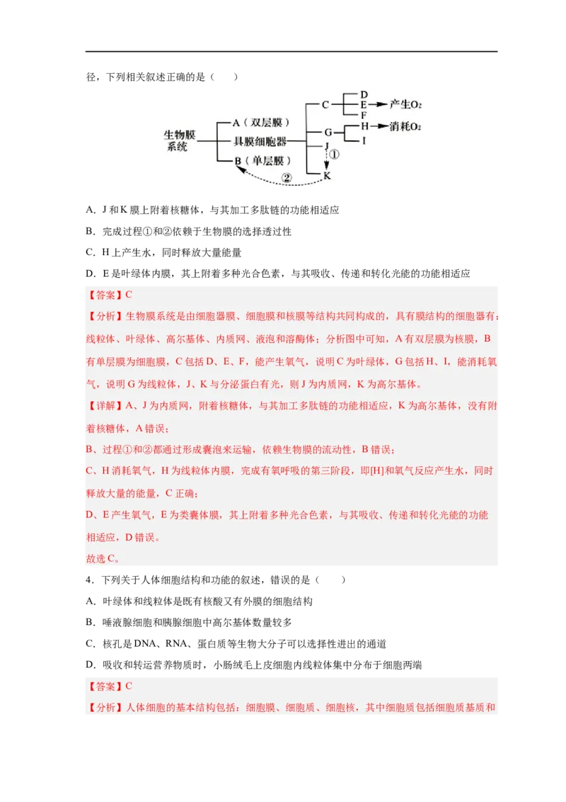 易错点04细胞的结构与功能-备战2023年高考生物考试易错题（新教材新高考）（解析版）_新高考复习资料_2023年新高考复习资料_专项复习_备战2023年高考生物考试易错题（新教材新高考）