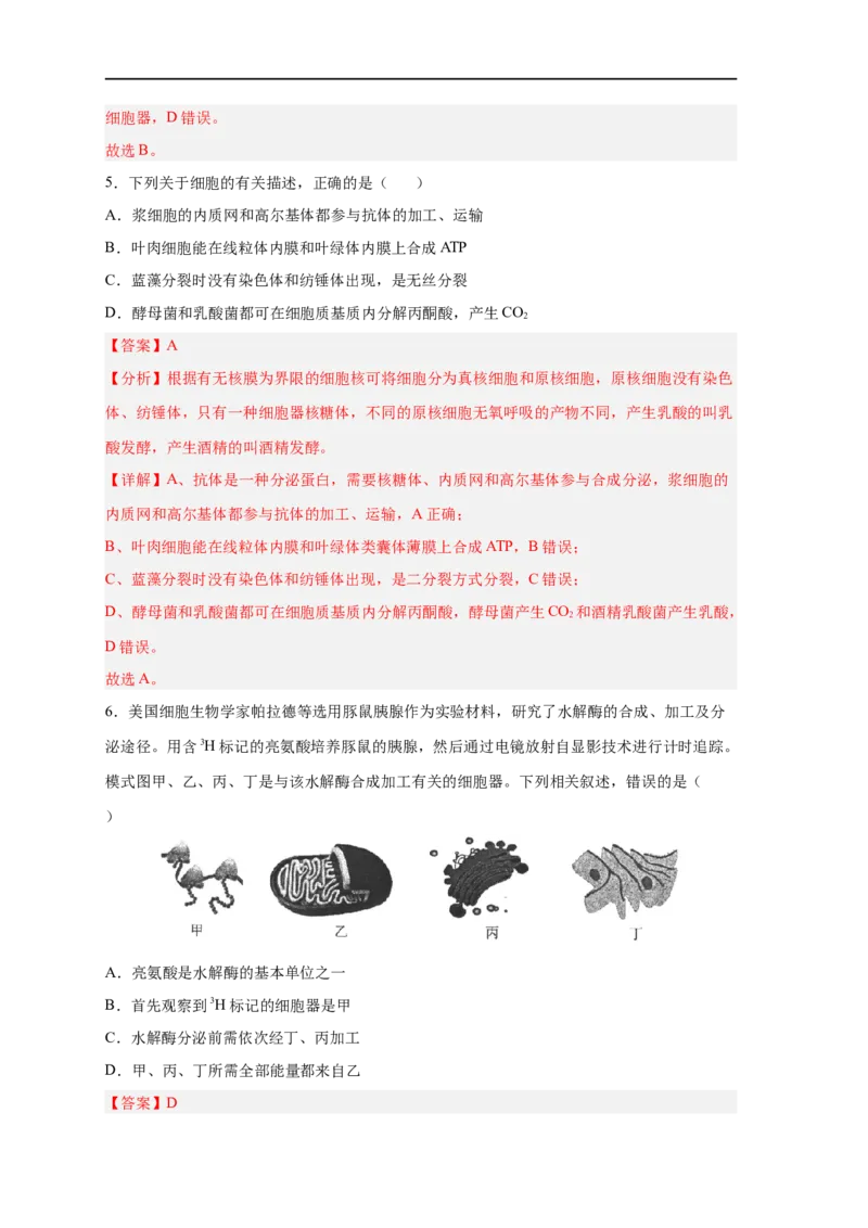 易错点04细胞的结构与功能-备战2023年高考生物考试易错题（新教材新高考）（解析版）_新高考复习资料_2023年新高考复习资料_专项复习_备战2023年高考生物考试易错题（新教材新高考）