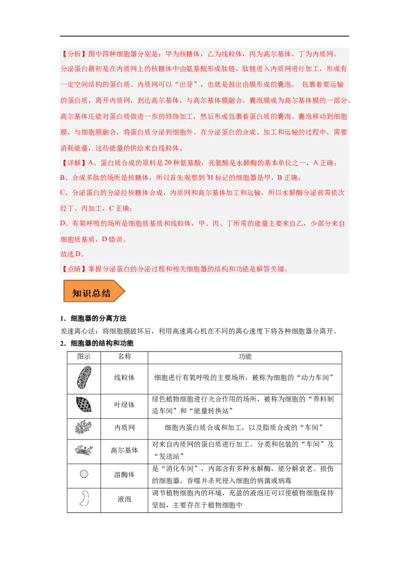 易错点04细胞的结构与功能-备战2023年高考生物考试易错题（新教材新高考）（解析版）_新高考复习资料_2023年新高考复习资料_专项复习_备战2023年高考生物考试易错题（新教材新高考）