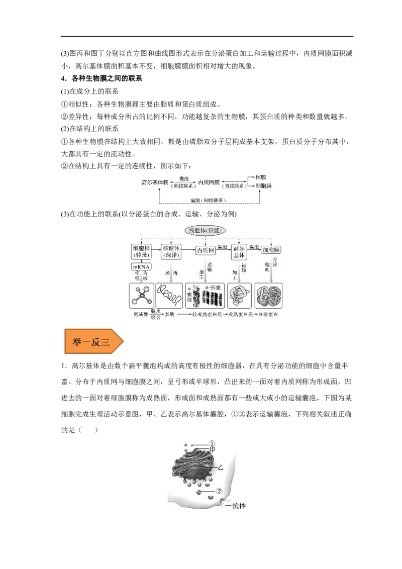 易错点04细胞的结构与功能-备战2023年高考生物考试易错题（新教材新高考）（解析版）_新高考复习资料_2023年新高考复习资料_专项复习_备战2023年高考生物考试易错题（新教材新高考）