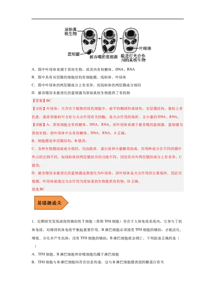 易错点04细胞的结构与功能-备战2023年高考生物考试易错题（新教材新高考）（解析版）_新高考复习资料_2023年新高考复习资料_专项复习_备战2023年高考生物考试易错题（新教材新高考）