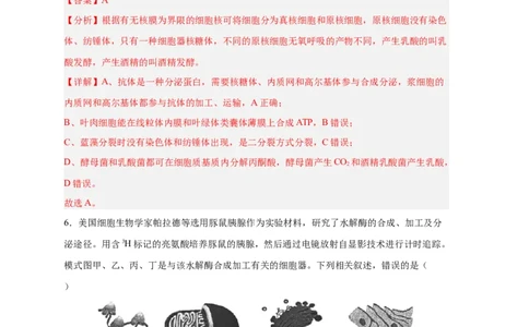 易错点04细胞的结构与功能-备战2023年高考生物考试易错题（新教材新高考）（解析版）_新高考复习资料_2023年新高考复习资料_专项复习_备战2023年高考生物考试易错题（新教材新高考）