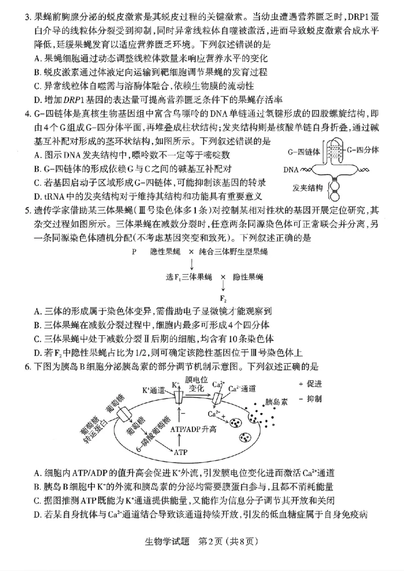 生物试题-26年太原高考二模_2024-2026高三（6-6月题库）_2026年04月高三试卷_260425山西省太原市2026年高三年级二模（太原二模）（全科）