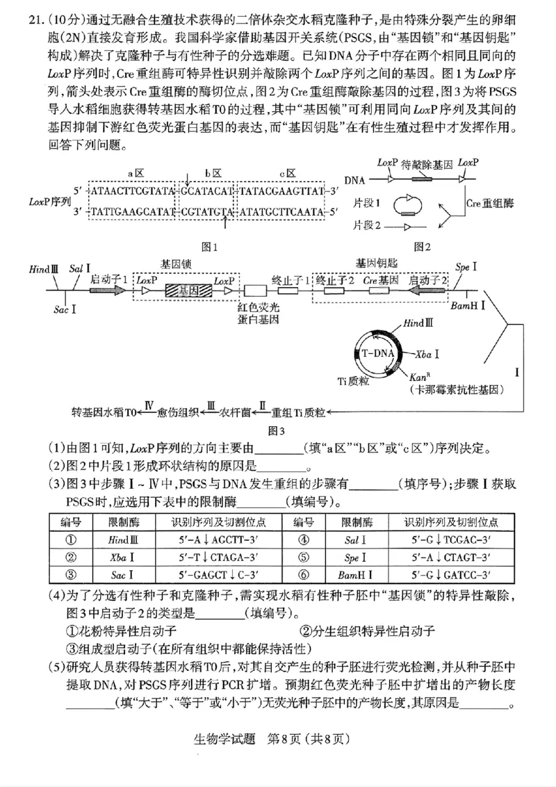 生物试题-26年太原高考二模_2024-2026高三（6-6月题库）_2026年04月高三试卷_260425山西省太原市2026年高三年级二模（太原二模）（全科）